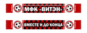 Атрибутика МФК Витэн - Шарф