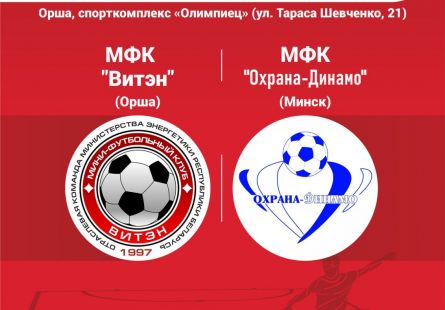 Новость МФК Витэн - Смотрим матч с Охраной-Динамо